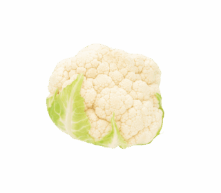 product-02