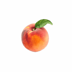 product-03