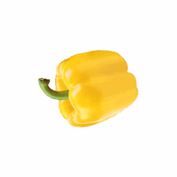 product-09