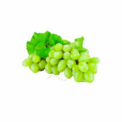 product-12